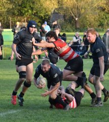 dsc_4185-2.jpg - JPEG - 206.9 ko - 2000×1325 px