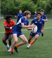 dsc_9251.jpg - JPEG - 711.7 ko - 2000×2240 px