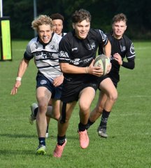 dsc_3551-2.jpg - JPEG - 539 ko - 2000×2230 px