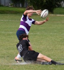 dsc_1853-2.jpg - JPEG - 241.1 ko - 2000×1325 px