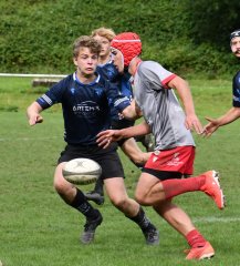 dsc_2272-3.jpg - JPEG - 198.2 ko - 2000×1333 px