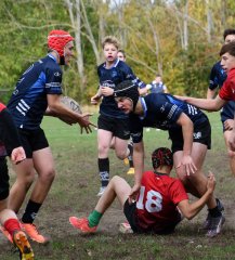 dsc_3682.jpg - JPEG - 263.9 ko - 2000×1325 px