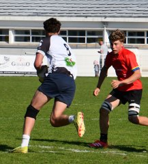 dsc_7576-4.jpg - JPEG - 399 ko - 1500×1663 px