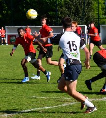 dsc_7604-3.jpg - JPEG - 458.2 ko - 1500×1664 px