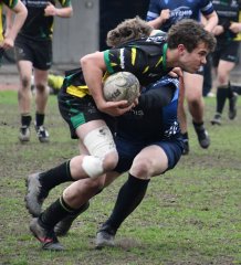 dsc_1892-2.jpg - JPEG - 121.8 ko - 2000×1325 px