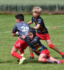 dsc_0456-4.jpg - JPEG - 404.4 ko - 1500×1649 px