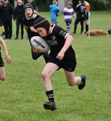 dsc_0564.jpg - JPEG - 267.7 ko - 2000×1330 px