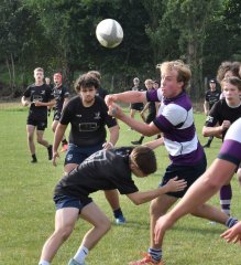 dsc_2000-3.jpg - JPEG - 210.4 ko - 2000×1325 px