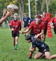 dsc_3883-2.jpg - JPEG - 188 ko - 2000×1325 px