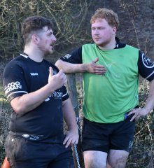 dsc_0248-5.jpg - JPEG - 934.6 ko - 3369×3688 px