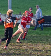 dsc_1241-4.jpg - JPEG - 134 ko - 2000×1123 px