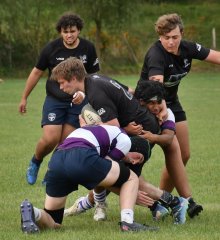 dsc_1906-3.jpg - JPEG - 142.4 ko - 2000×1325 px