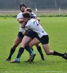 dsc_3444_01.jpg - JPEG - 480.8 ko - 2000×2183 px