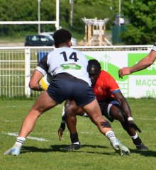 dsc_7549-3.jpg - JPEG - 376.5 ko - 1500×1643 px