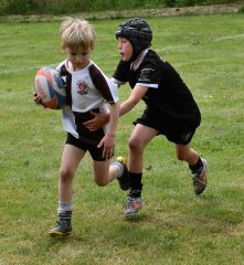 dsc_0794-5.jpg - JPEG - 270.8 ko - 2000×1333 px