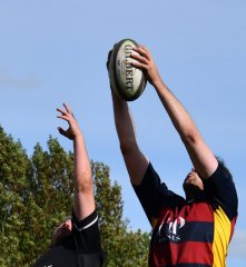 dsc_2481-3.jpg - JPEG - 247.4 ko - 1500×1630 px