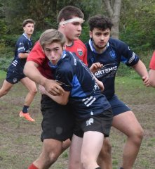 dsc_3888-2.jpg - JPEG - 375.4 ko - 2000×1325 px