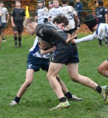 dsc_4384-3.jpg - JPEG - 145.9 ko - 2000×1333 px