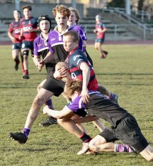 gp5f8504.jpg - JPEG - 745.9 ko - 2000×2181 px