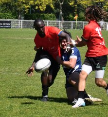 dsc_8053.jpg - JPEG - 244.1 ko - 2000×1325 px