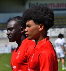 dsc_8433-5.jpg - JPEG - 247 ko - 1500×1619 px