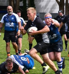 dsc_0088-5.jpg - JPEG - 399.2 ko - 1500×1608 px