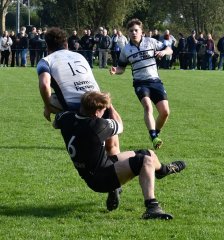 dsc_3545-3.jpg - JPEG - 653 ko - 2000×2144 px