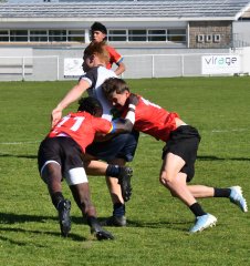 dsc_7483.jpg - JPEG - 430.2 ko - 1500×1595 px