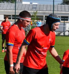 dsc_7531-3.jpg - JPEG - 342.7 ko - 1500×1595 px