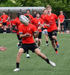 dsc_9247.jpg - JPEG - 642.7 ko - 2000×2133 px