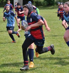 dsc_0480-4.jpg - JPEG - 507.5 ko - 1500×1587 px