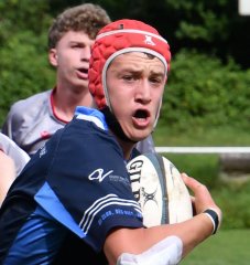 dsc_2195-4.jpg - JPEG - 129.2 ko - 2000×1333 px