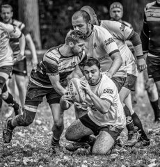 _nz85796.jpg - JPEG - 331.1 ko - 1024×1070 px