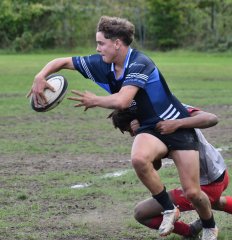 dsc_2417-3.jpg - JPEG - 170.8 ko - 2000×1325 px