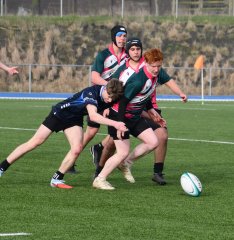 dsc_0878-2.jpg - JPEG - 614.1 ko - 2000×1325 px