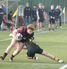 gp5f1137.jpg - JPEG - 525.2 ko - 2000×2046 px