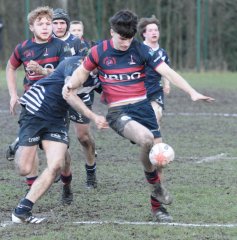 gp5f0661.jpg - JPEG - 557.5 ko - 2000×2026 px