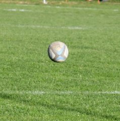 dsc_4045-5.jpg - JPEG - 307.8 ko - 1500×1513 px