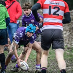 _nz87718.jpg - JPEG - 284.2 ko - 1024×1026 px