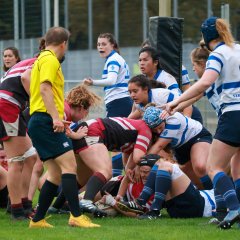 img_0439-4.jpg - JPEG - 534.5 ko - 2000×2001 px