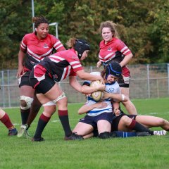 img_0630-2.jpg - JPEG - 542.4 ko - 2000×2001 px