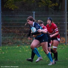 img_1799-2.jpg - JPEG - 500.3 ko - 2000×2000 px