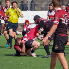 img_4714-3.jpg - JPEG - 578.9 ko - 2000×2000 px