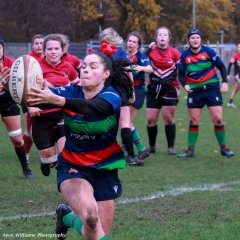 img_4885-2.jpg - JPEG - 558.7 ko - 2000×2000 px