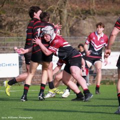 img_4972-2.jpg - JPEG - 550.8 ko - 2000×2000 px