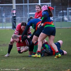 img_5135.jpg - JPEG - 547.9 ko - 2000×2000 px