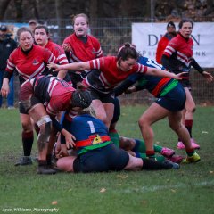 img_5195.jpg - JPEG - 579.9 ko - 2000×2000 px