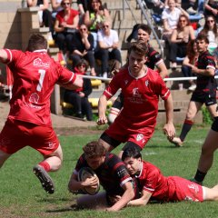 img_7539.jpg - JPEG - 615.6 ko - 2000×2000 px