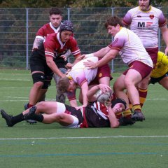 img_8998_1_.jpg - JPEG - 570.5 ko - 2000×2000 px