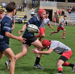 dsc_2196-3.jpg - JPEG - 169 ko - 2000×1334 px